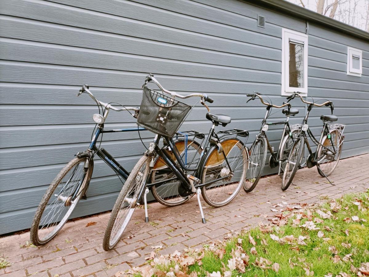 4P Chalet Tolve: Cycling Retreat Near Drents Friese Wold Nature Reserve Oosterwolde  Exterior photo